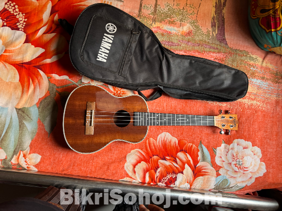 Ukulele for Sale